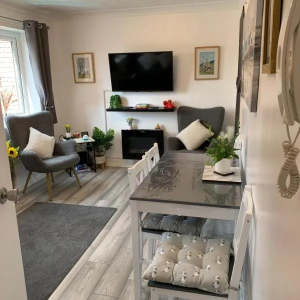Town Centre Apartment，位于莫尔德的酒店