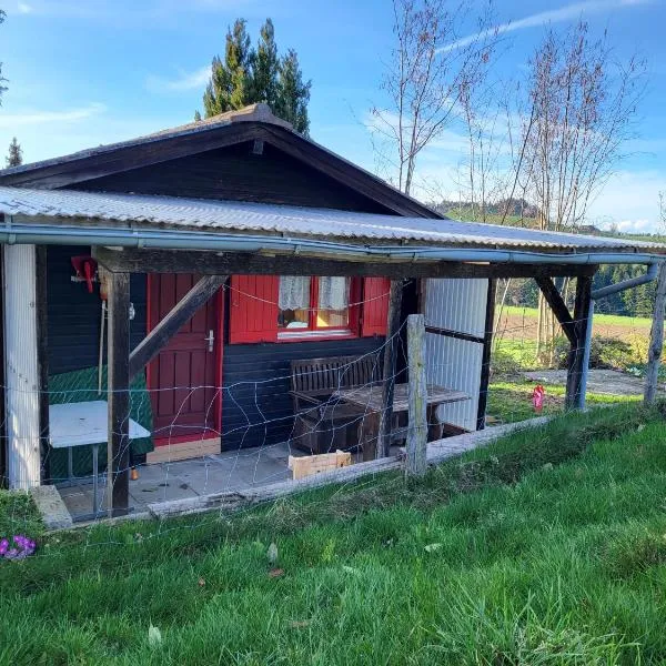 Chalet im grünen，位于霍伊瑟恩莫斯的酒店