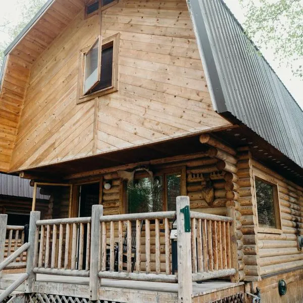 Alaska Cozy Cabins，位于瓦西拉的酒店