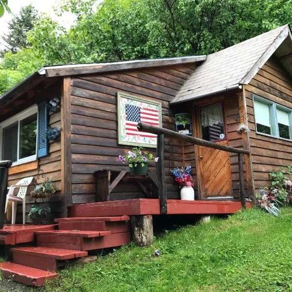 Homestead cabin，位于荷马的酒店