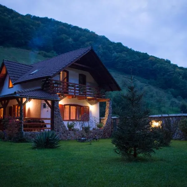 Casa de Piatra，位于Strungari的酒店
