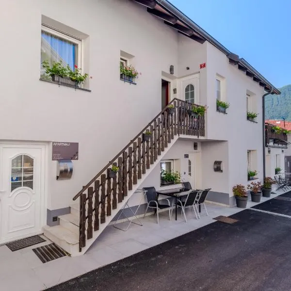 Penzion Hosnar, apartma Lev，位于博维茨的酒店