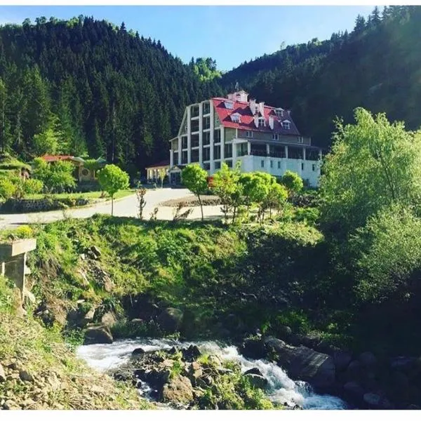 Hotel Green Valley Savsat，位于Savsat的酒店