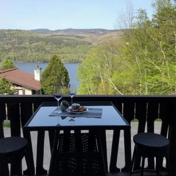 Condo de Jean et Chantale，位于蒙特朗布朗的酒店