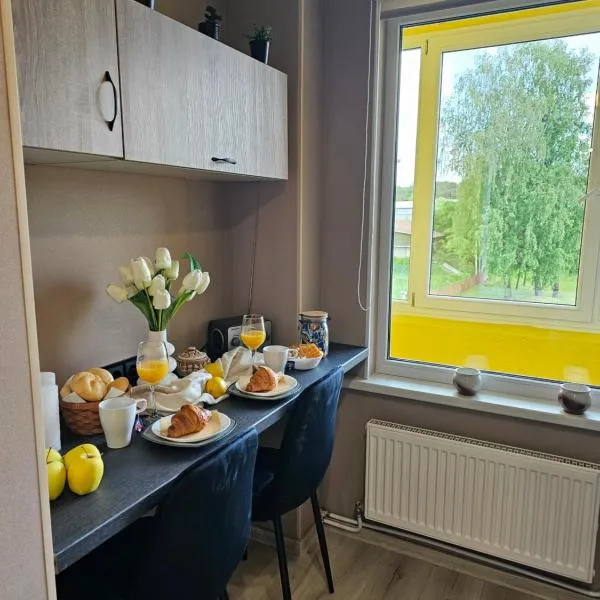 JD apartment，位于Ozolnieki的酒店