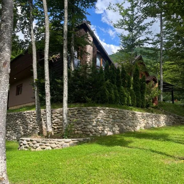 Villa in Brezovica，位于普雷瓦莱的酒店