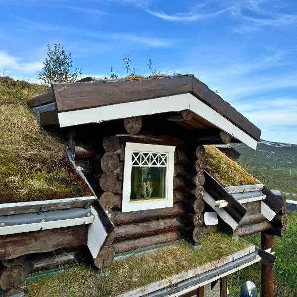 Unique Arctic Timber Cabin，位于Skaidi的酒店