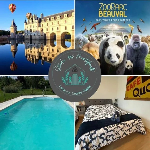 Studio proche Beauval et Châteaux de la Loire，位于Francueil的酒店