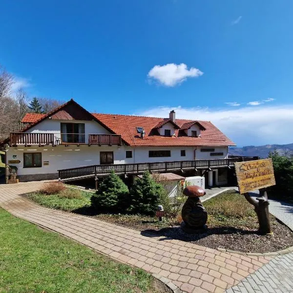 Wellness Chata Jana，位于Březová的酒店