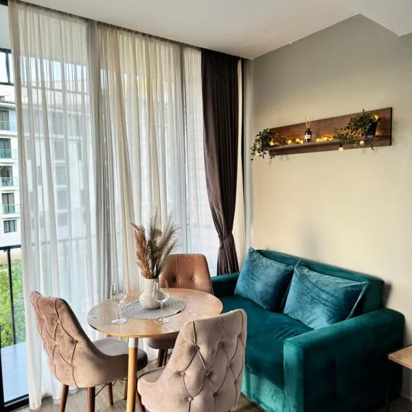 Bakuriani Didveli Gallery 309，位于巴库里阿尼的酒店