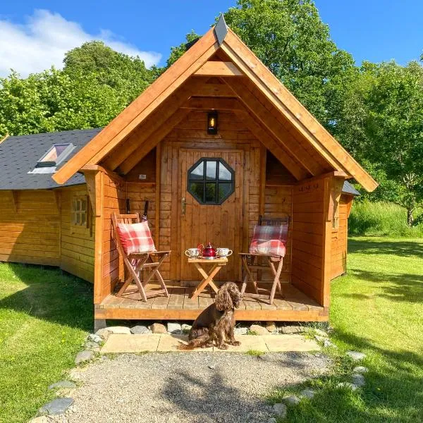 Seal Cove Cabin - Luxury Glamping，位于科尔朵的酒店