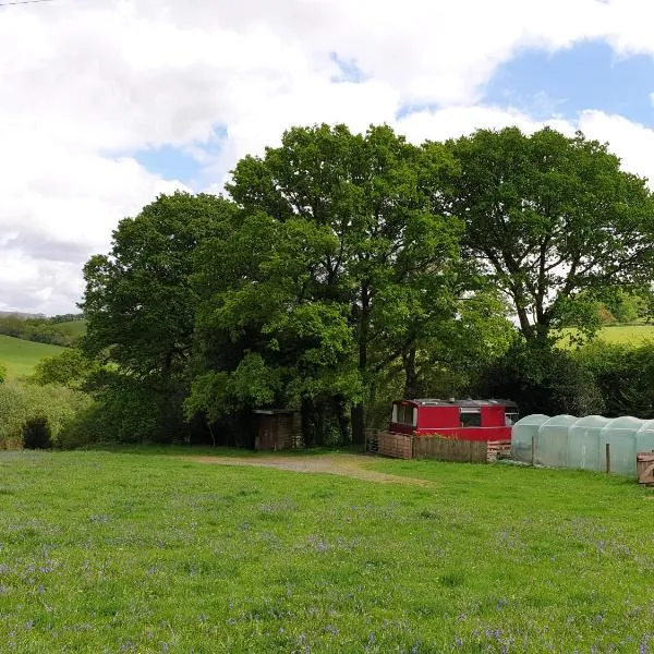 The Megabus near Tavistock and Dartmoor.，位于Lamerton的酒店