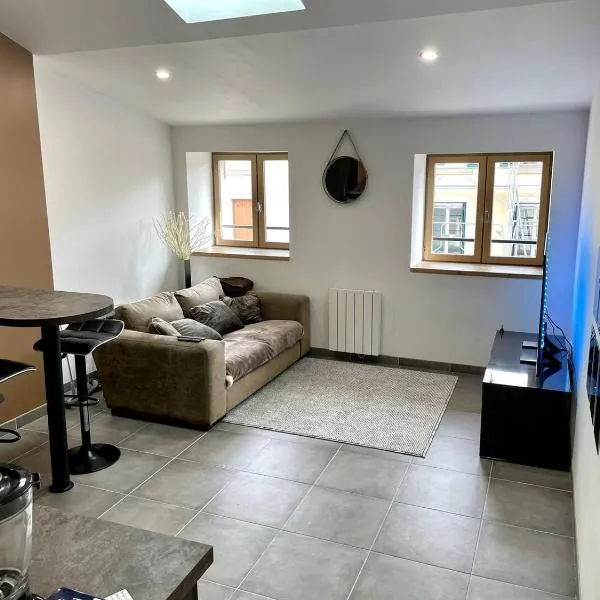 Joli Appartement T2 Saint Laurent Sur Saone，位于Saint-Laurent-sur-Saône的酒店