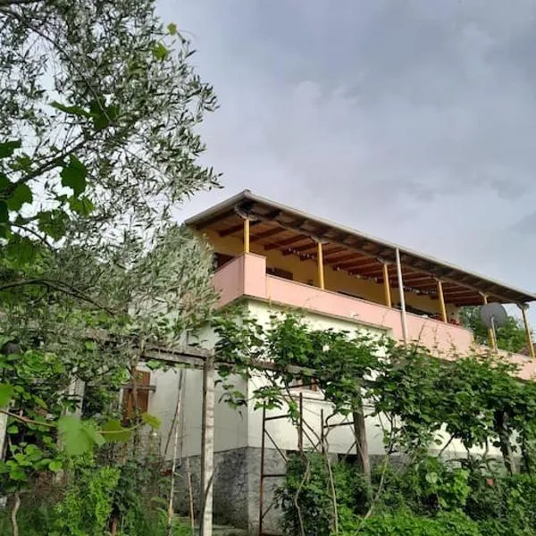 Sara & Mateo Guesthouse，位于Libohovë的酒店