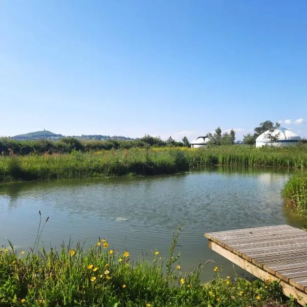 Glastonbury Wild Glamping，位于格拉斯顿伯里的酒店