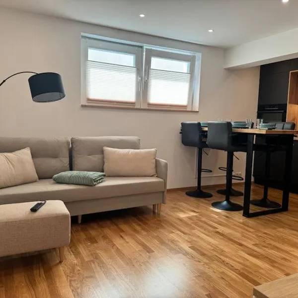 1,5-Zimmer, Top ausgestattet, 4 Pers, Souterrain, Self Check-in, Parkplatz, Netflix & Amazon Prime，位于Flintsbach am Inn的酒店