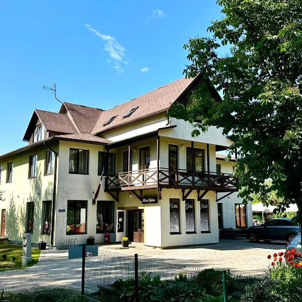 Villa Gāles Hotel，位于Batciems的酒店