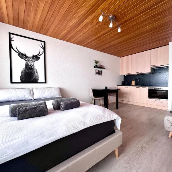 Studio mit See- und Bergblick，位于莱克斯的酒店