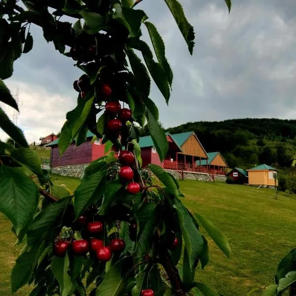 ECO ViLLAGE CORIC，位于莫伊科瓦茨的酒店