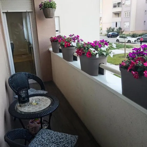 Apartman LARA，位于皮罗特的酒店