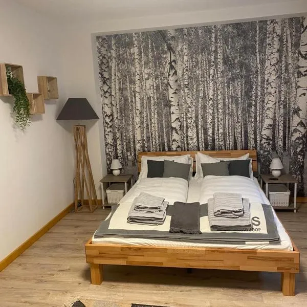 Forest Apartment-Forest Escape Menzenschwand，位于圣布拉辛的酒店