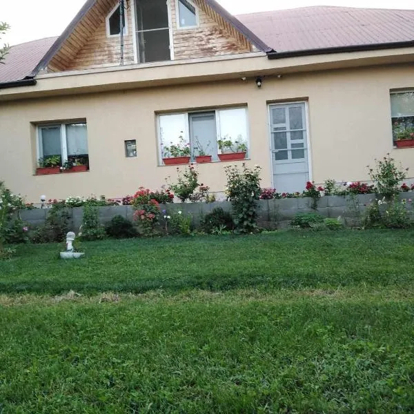 Casa de inchiriat in Limanu，位于Limanu的酒店