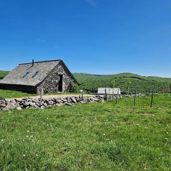 Buron de Léon, en plein cœur de l Aubrac，位于拉吉约勒的酒店