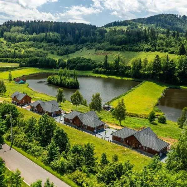 Jesteśmy Na Ty - Apartamenty，位于Lewin Kłodzki的酒店