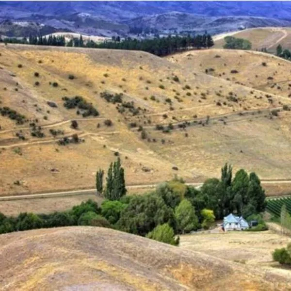 Studio in the grape vines，位于克伦威尔的酒店