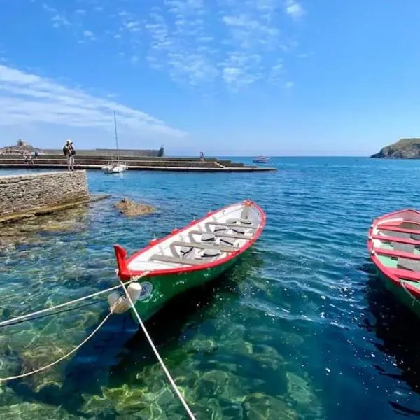 Collioure Fisherman's House Apartment with Garden，位于科利尤尔的酒店