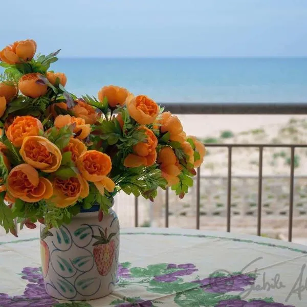 Casa Letizia，位于阿尔卡莫的酒店