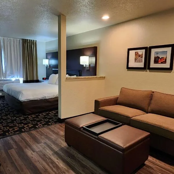 Comfort Inn & Suites，位于Chaska的酒店