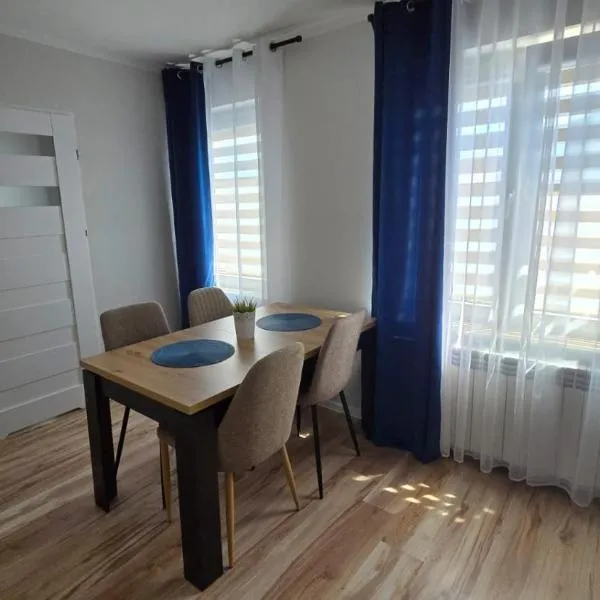 SKY BLUE LOQUS Studia i Apartmenty，位于普沃茨克的酒店