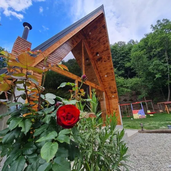 Cabana AFrame Olanesti，位于百乐·奥拉内斯蒂的酒店