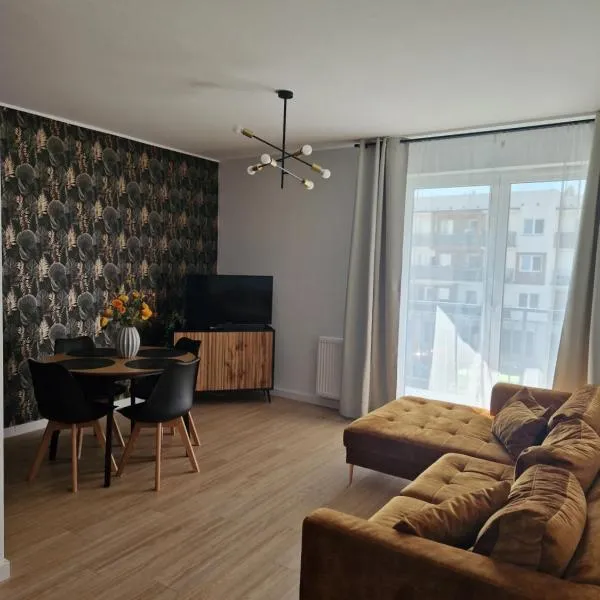 Apartament Staromiejski Rapackiego 45，位于Piaski的酒店