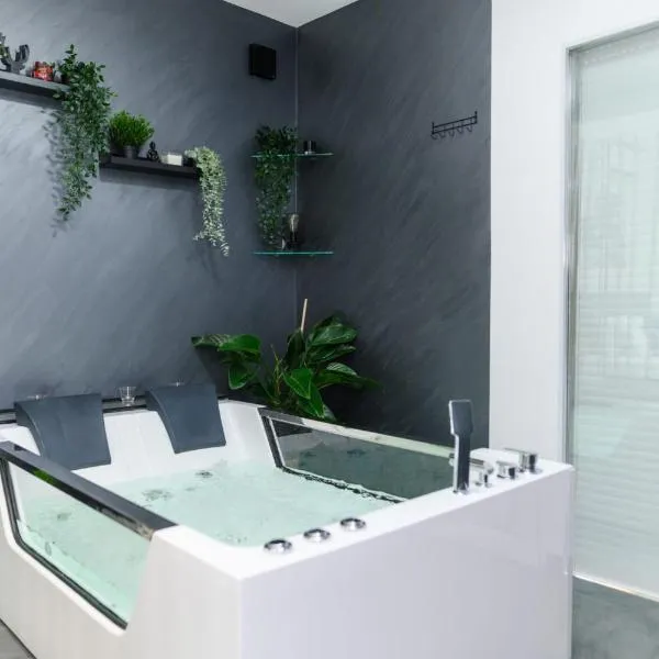 SPA apartman i sobe Tomin，位于索科矿泉村的酒店