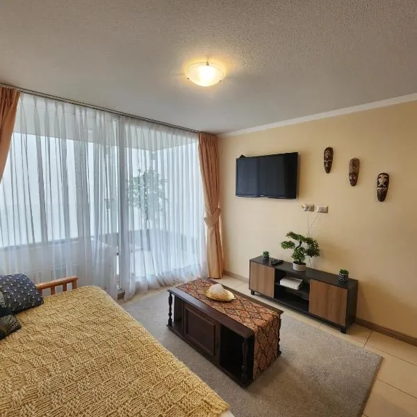 Arriendo departamento en La Serena Central，位于拉塞雷纳的酒店