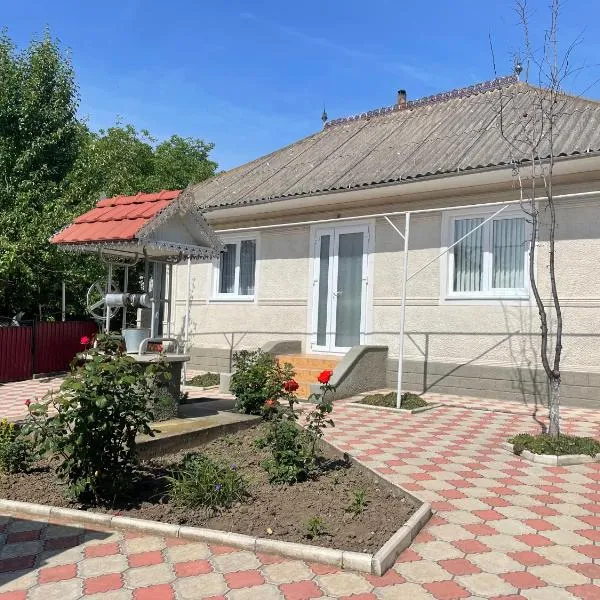 EthnoVilla - A comfortable Moldovan house for a peaceful and relaxing stay Молдавский, уютный дом для отдыха，位于Trinca的酒店