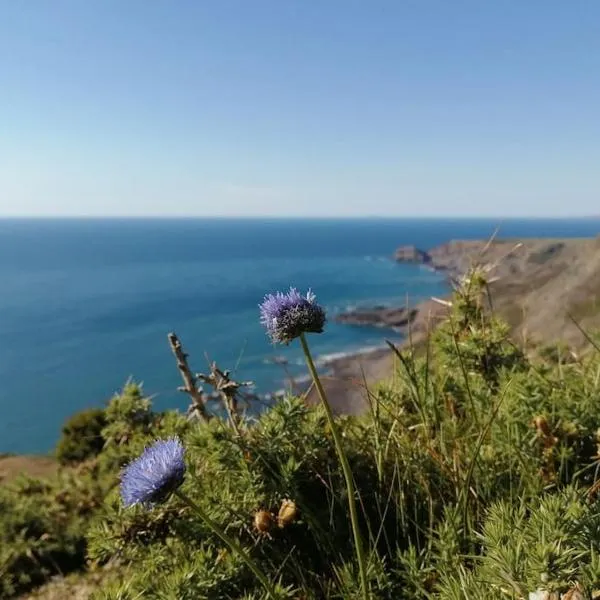 Kiberick Cottage at Crackington Haven, near Bude and Boscastle, Cornwall，位于布德的酒店