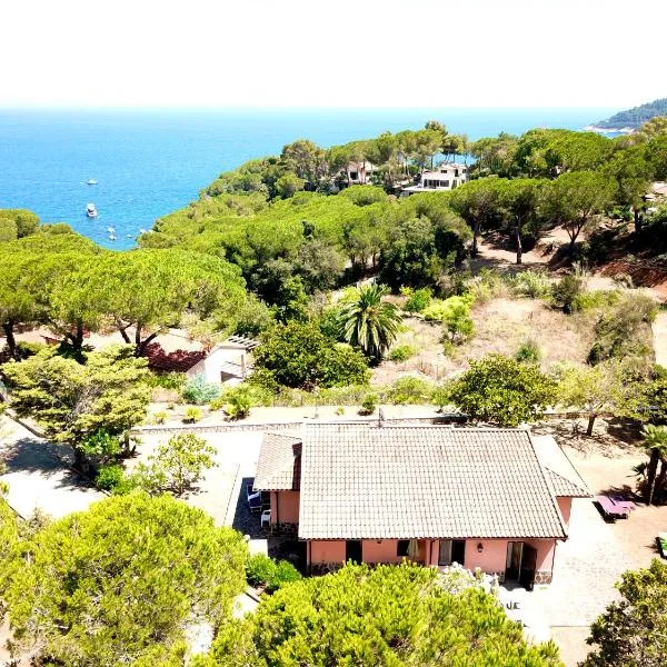 Casale La Magnolia - Capo Perla Apartments，位于卡波利韦里的酒店