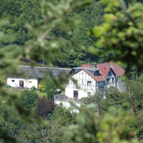 Ferienwohnung Schäfer，位于Waldbreitbach的酒店