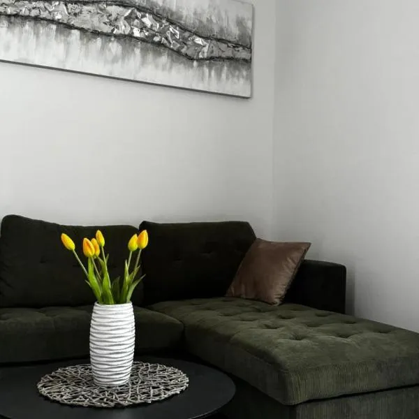 Apartman Nino，位于杜格普利耶的酒店