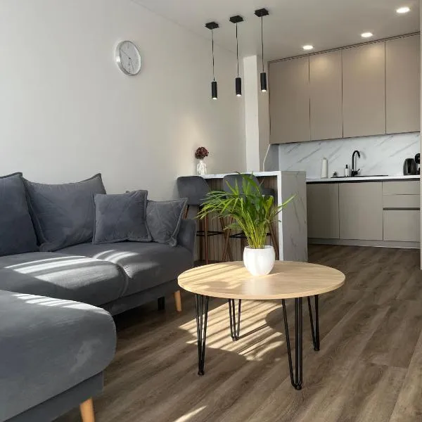Saules apartamentai, free parking，位于克莱佩达的酒店