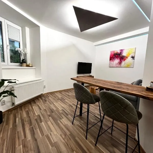 Palackého Lobby Apartment，位于奥洛穆茨的酒店