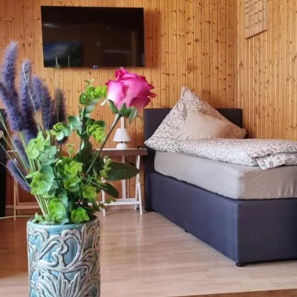 City Apartment Triberg，位于特里贝格的酒店