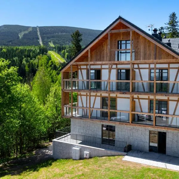 Wonder Home - Orlik Residence - Apartamenty z widokiem na Śnieżkę, blisko wyciągów, Ski Arena i Kościółka Wang，位于卡尔帕奇的酒店