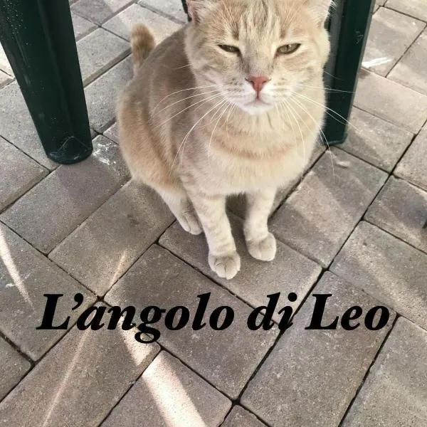 L'Angolo di Leo，位于巴尔德的酒店