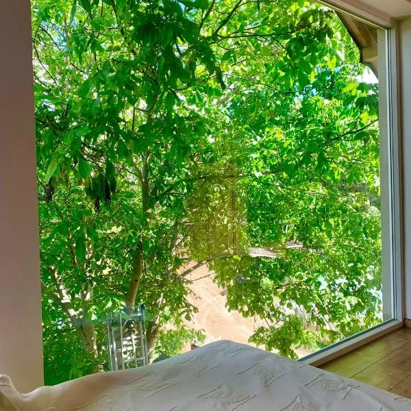 Apartament orzechowy superior，位于姆拉哥沃的酒店