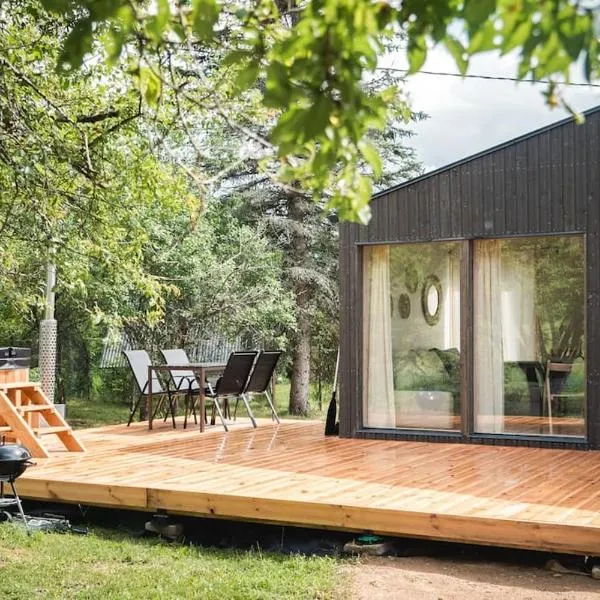 Paluküla tiny house Kuuse，位于Lelle的酒店