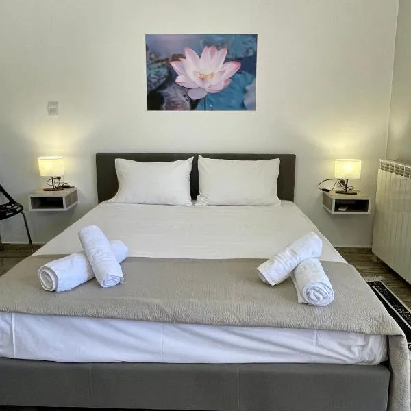 Kos Helios House，位于帕萨里迪的酒店